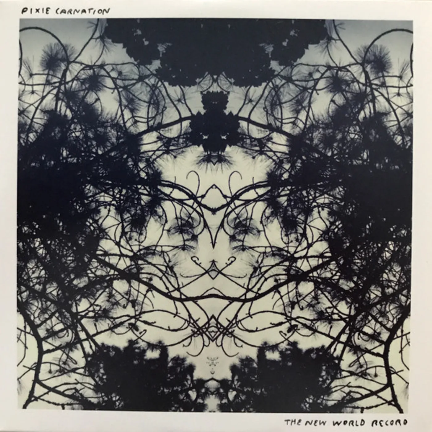 Pixie Carnation NEW WORLD RECORD Vinyl Record