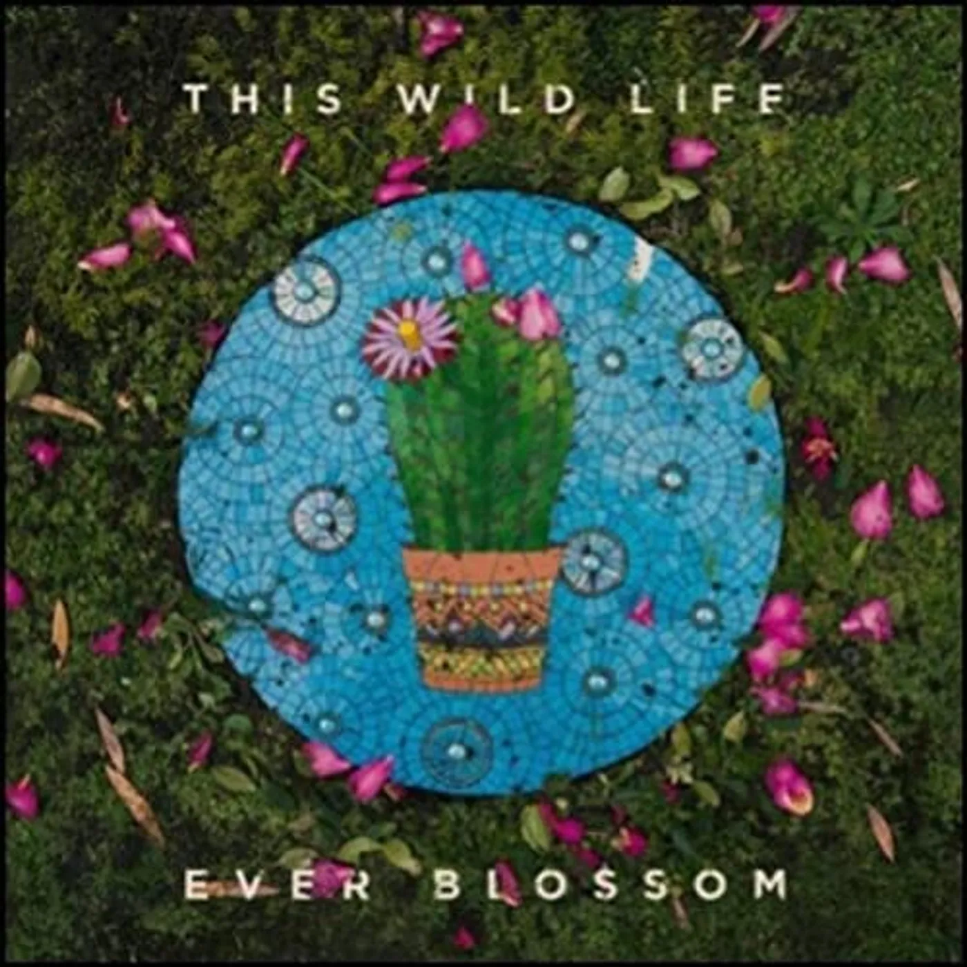 This Wild Life EVER BLOSSOM CD