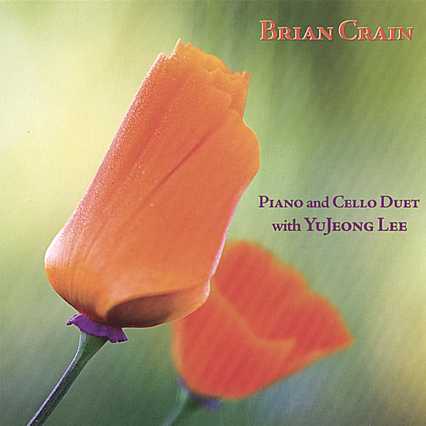 Brian Crain PIANO & CELLO DUET CD