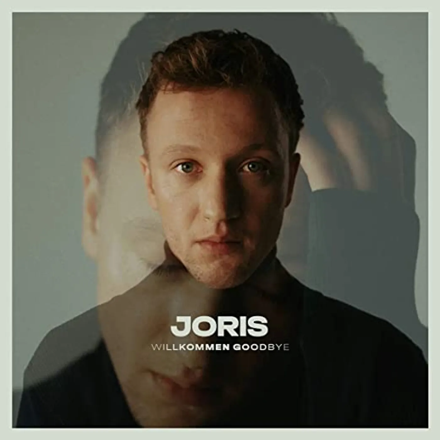 JORIS Willkommen Goodbye Vinyl Record