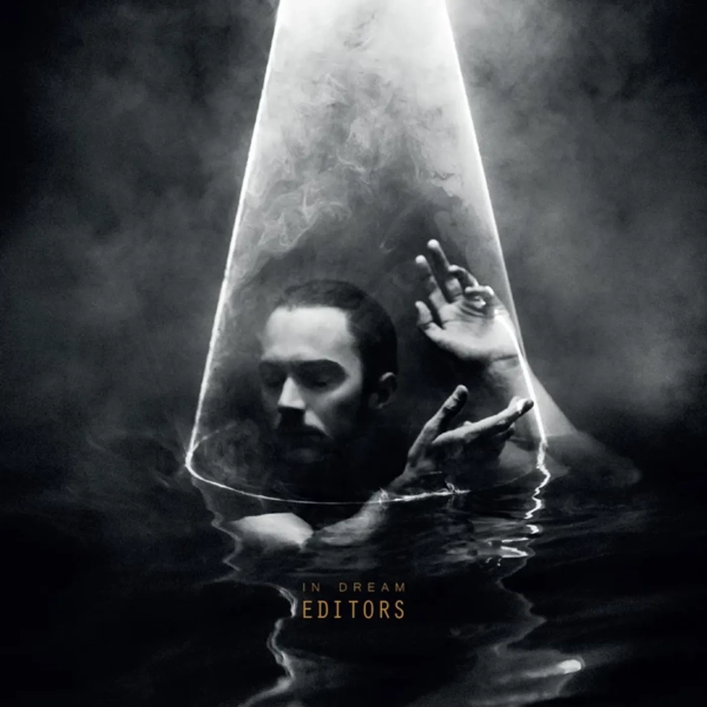 Editors In Dream Vinyl Record