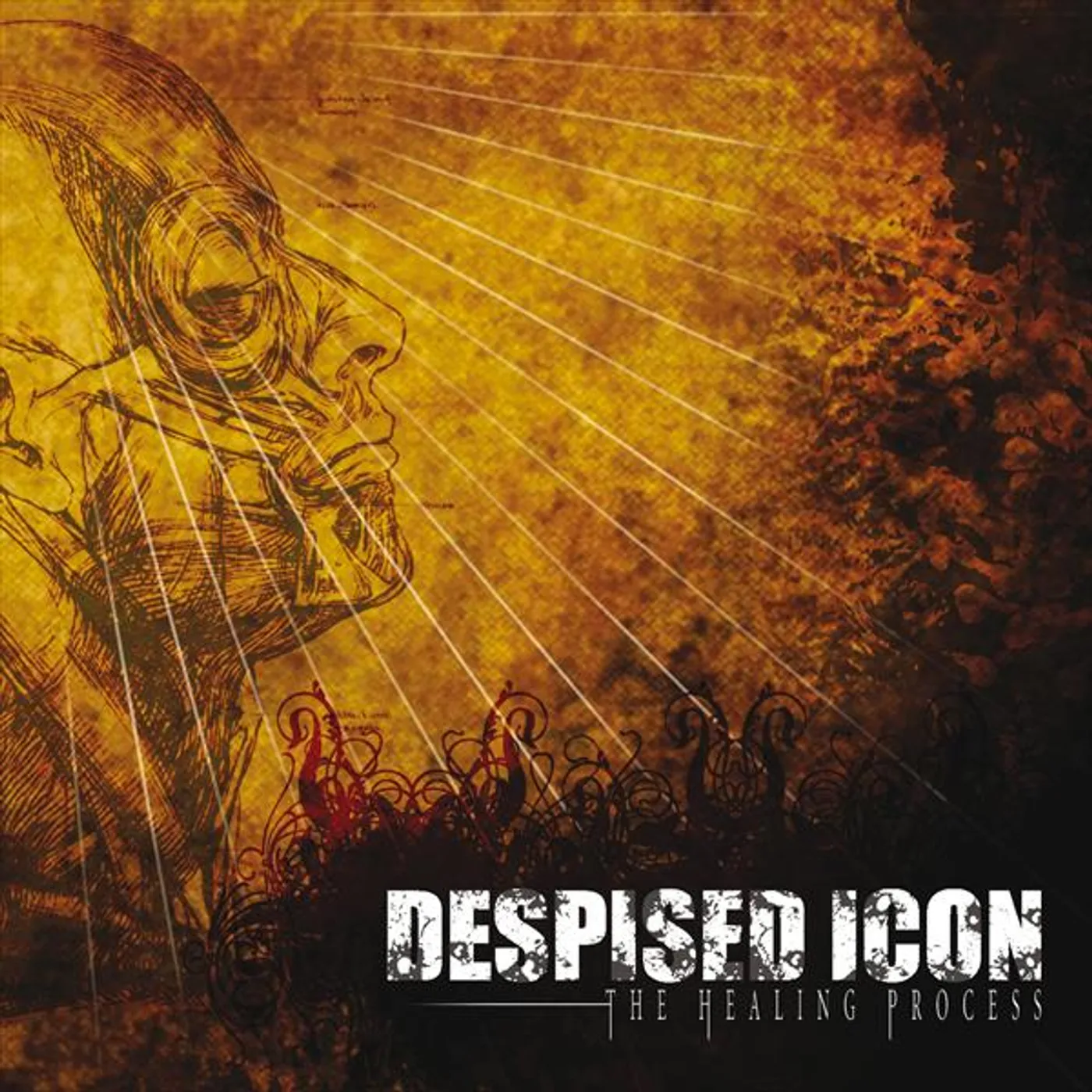 Despised Icon HEALING PROCESS Vinyl Record