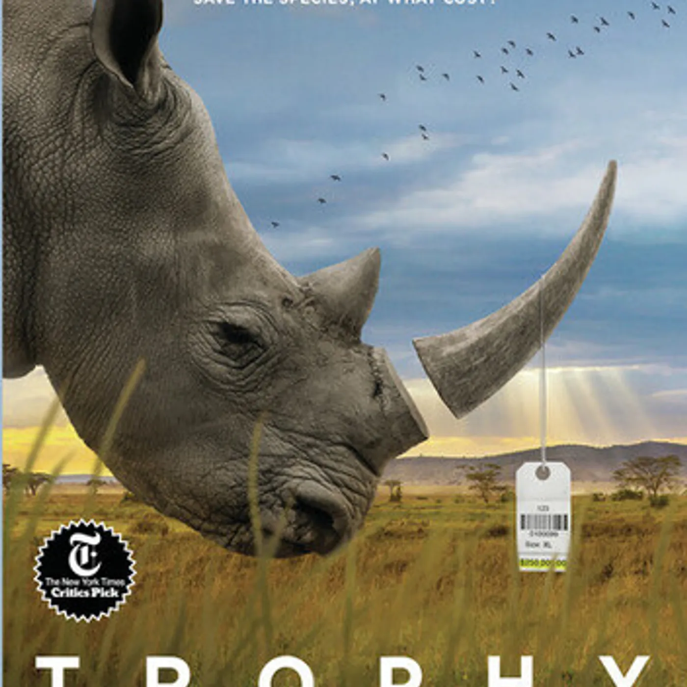 TROPHY DVD