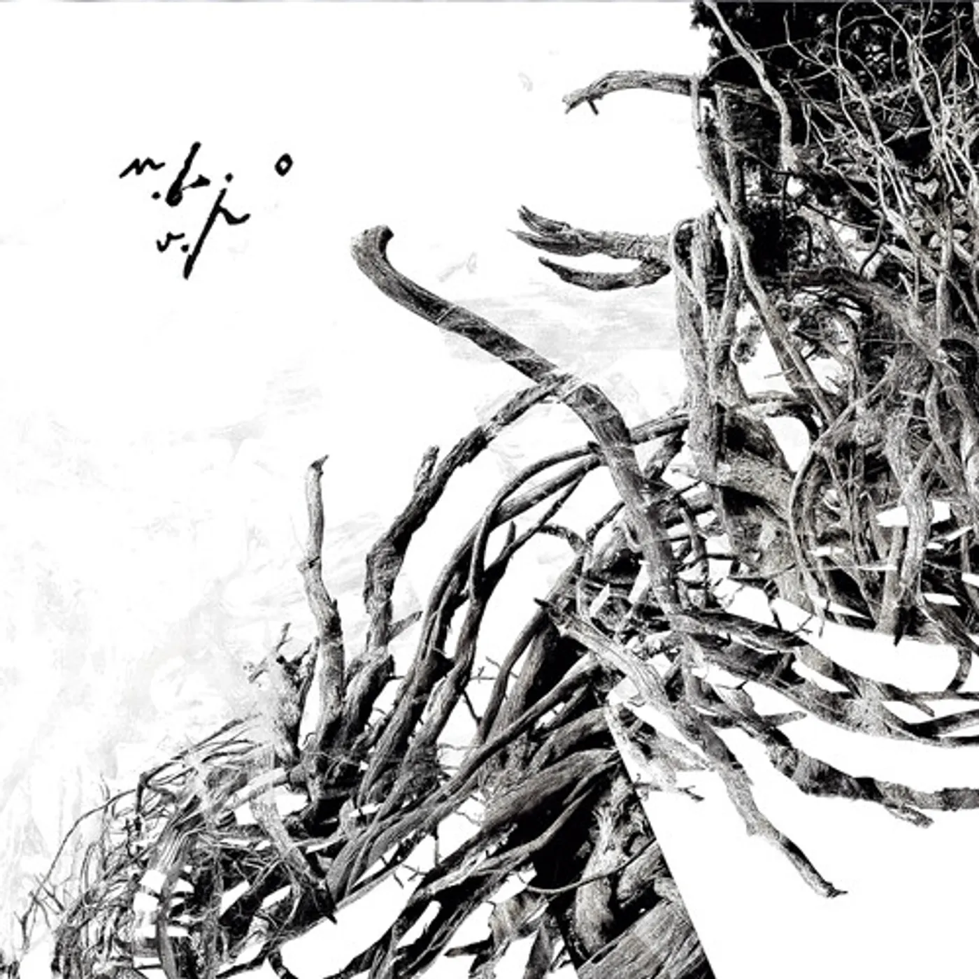 Negură Bunget Virstele Pamintului Vinyl Record