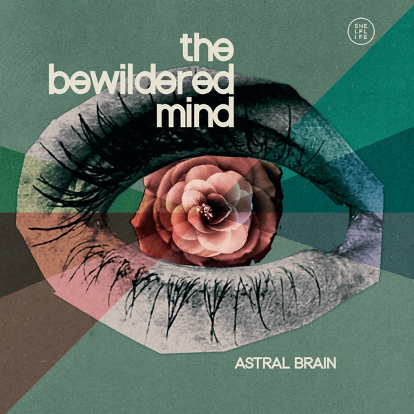 Astral Brain BEWILDERED MIND Vinyl Record