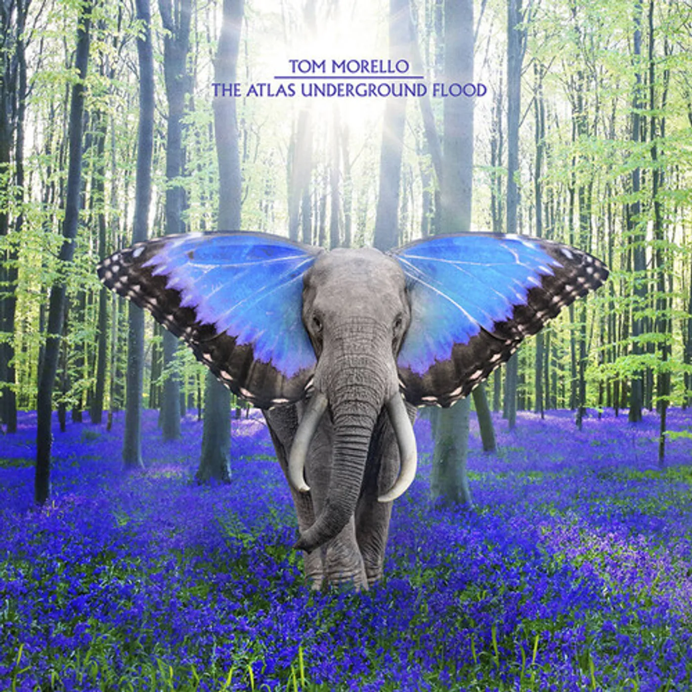 Tom Morello ATLAS UNDERGROUND FLOOD CD