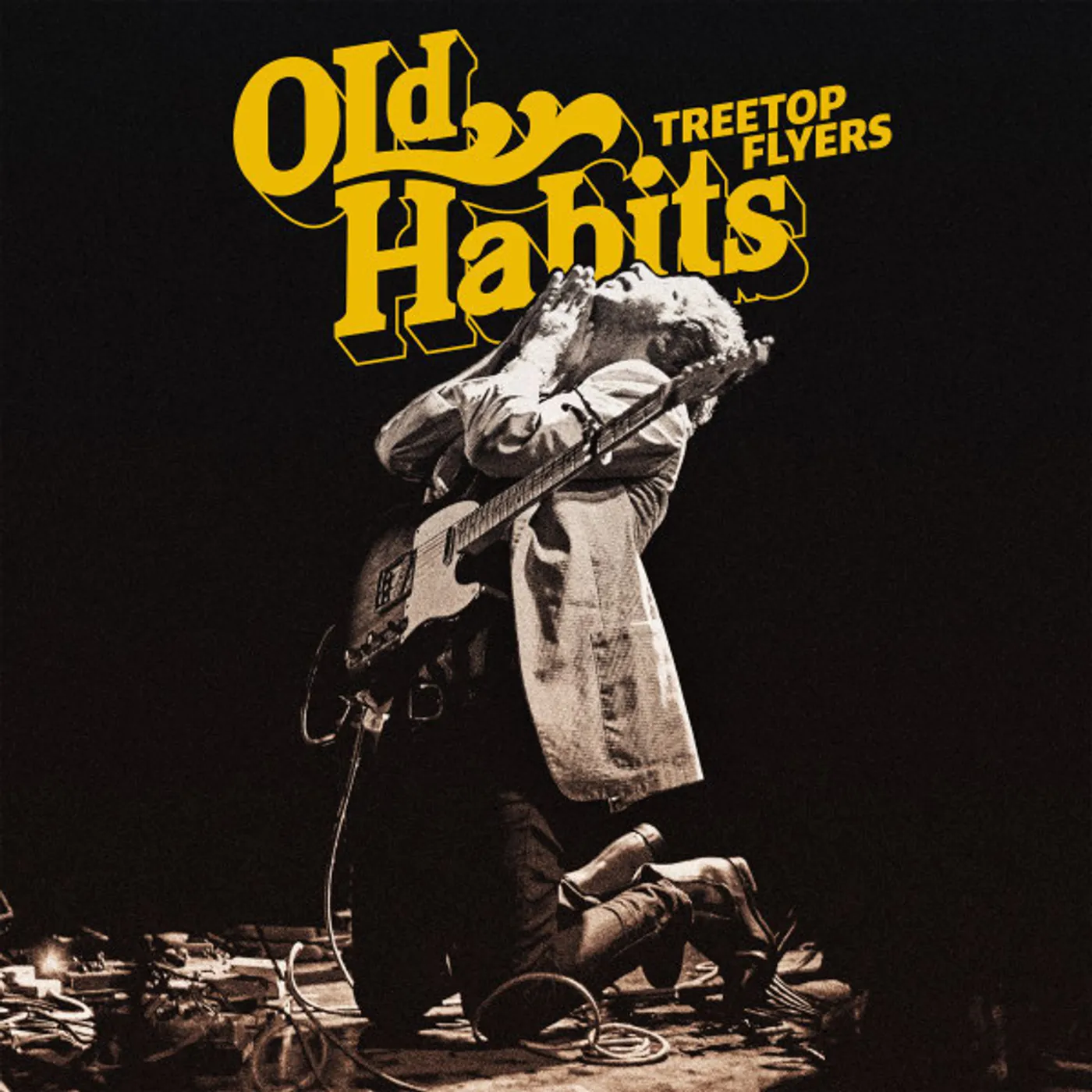 Treetop Flyers Old Habits Vinyl Record