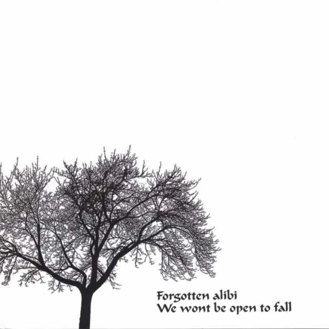 Forgotten Alibi WE WONT BE OPEN TO FALL CD