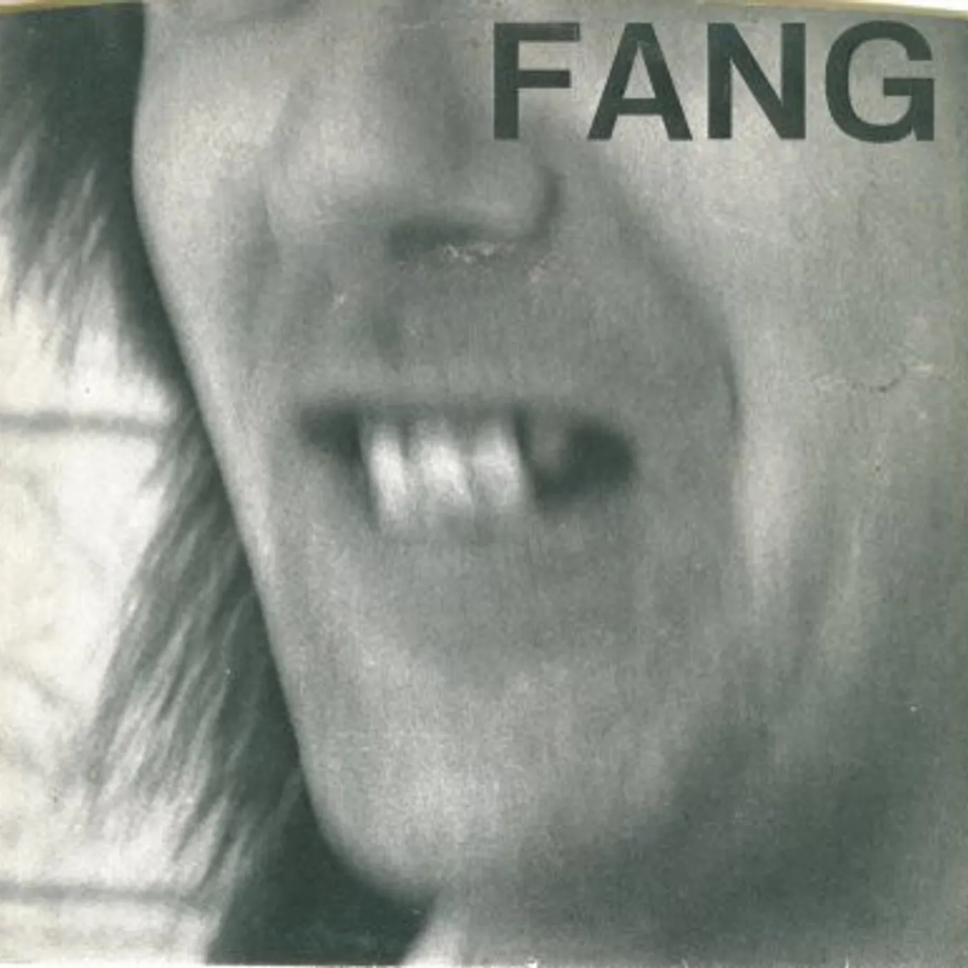 Enjoy the View / Yukon Fang Vinyl Record