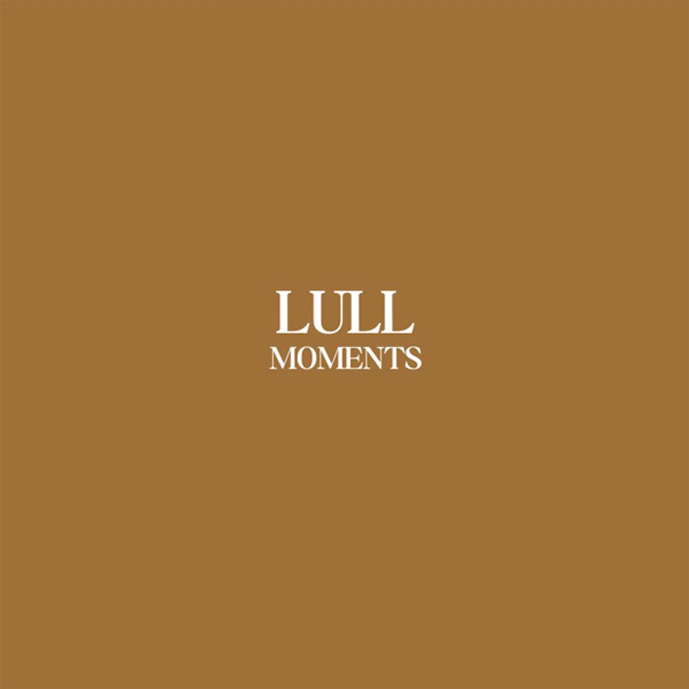 Lull Moments Vinyl Record