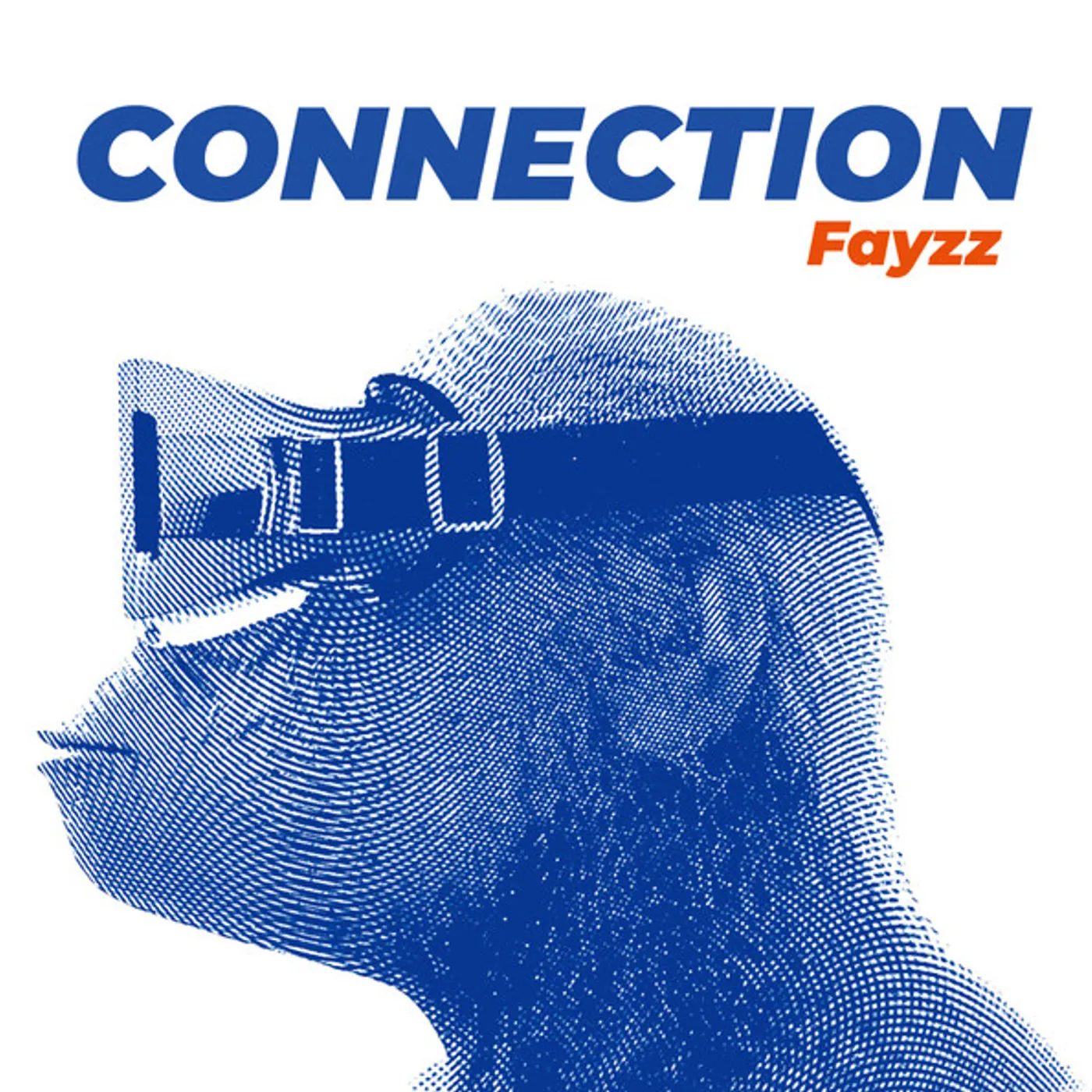 Fayzz Connection Vinyl Record