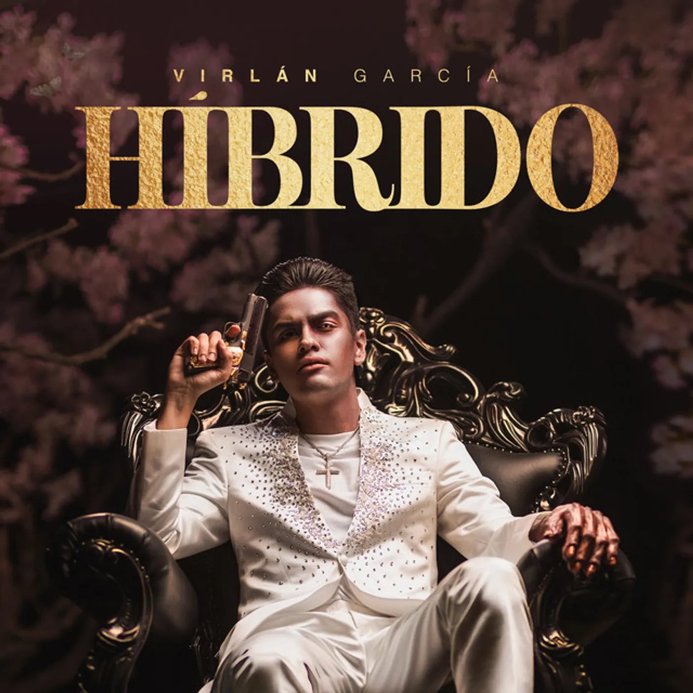 Virlan Garcia HIBRIDO CD