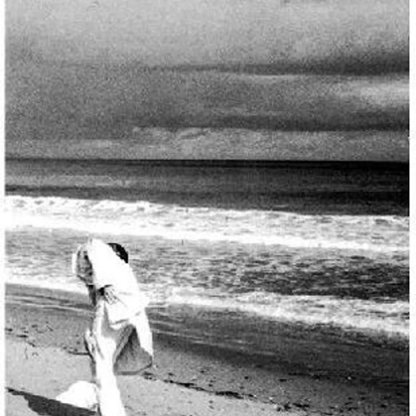 Shaman Elephant WIDE AWAKE BUT STILL ASLEEP CD