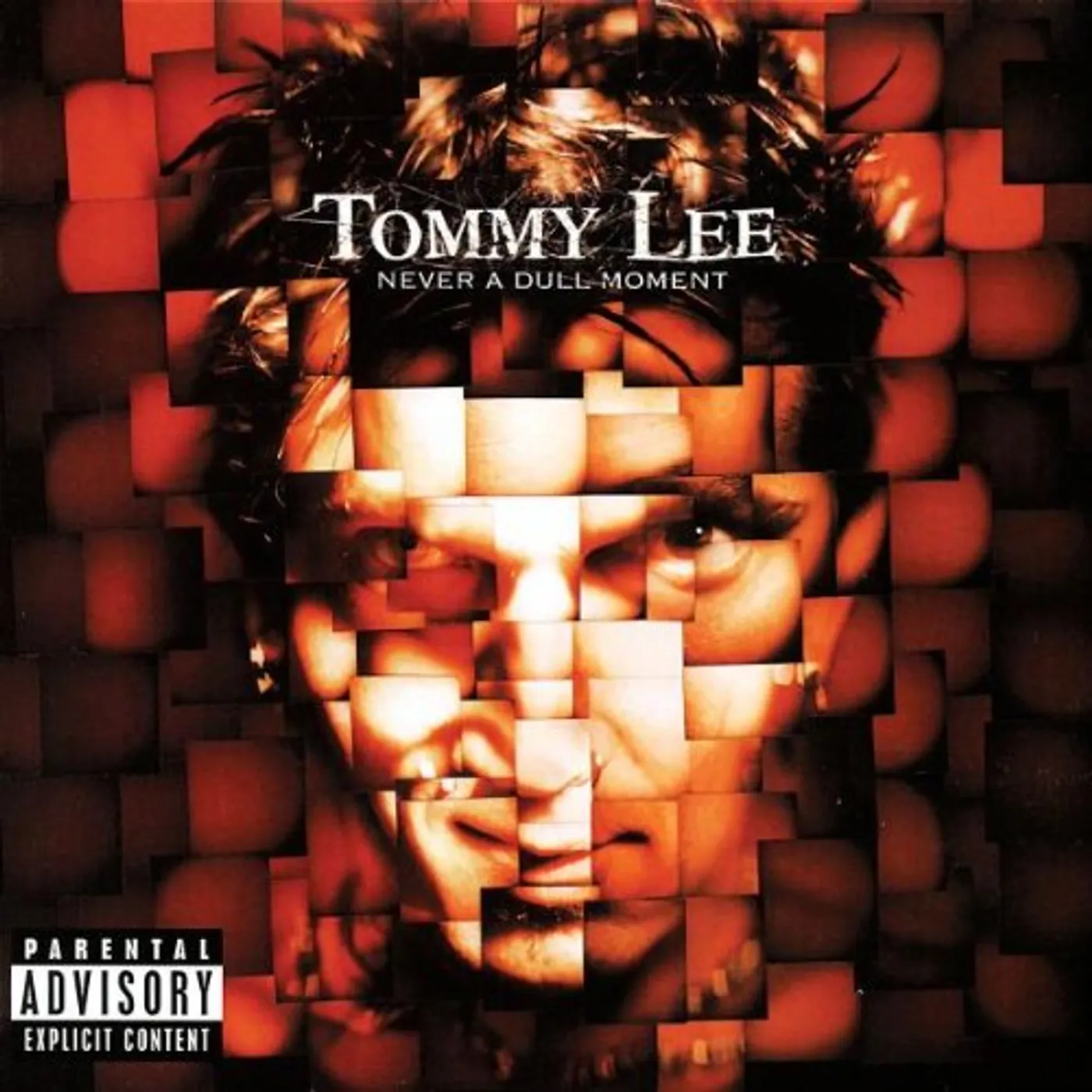 Tommy Lee NEVER A DULL MOMENT CD