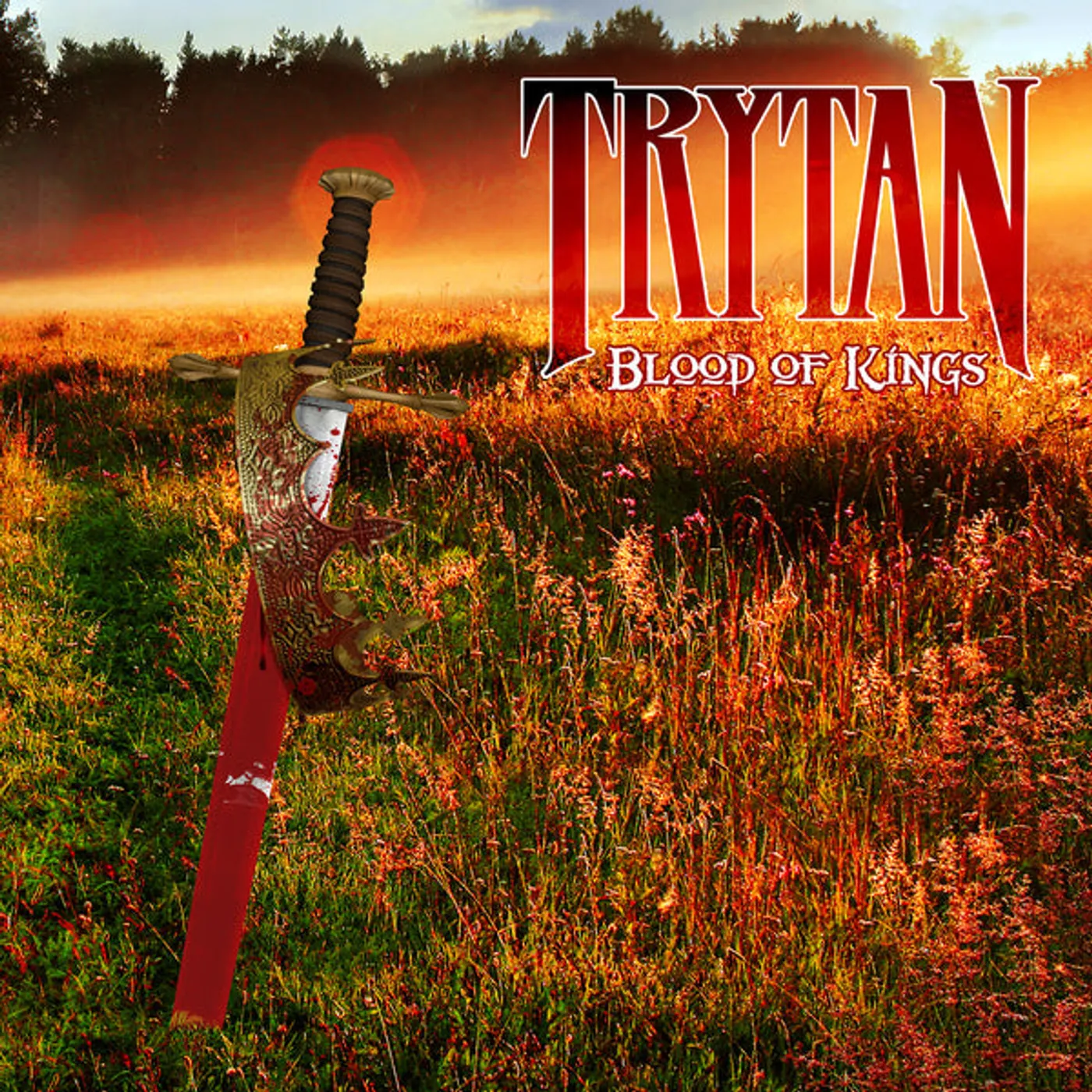 TRYTAN Blood Of Kings Vinyl Record
