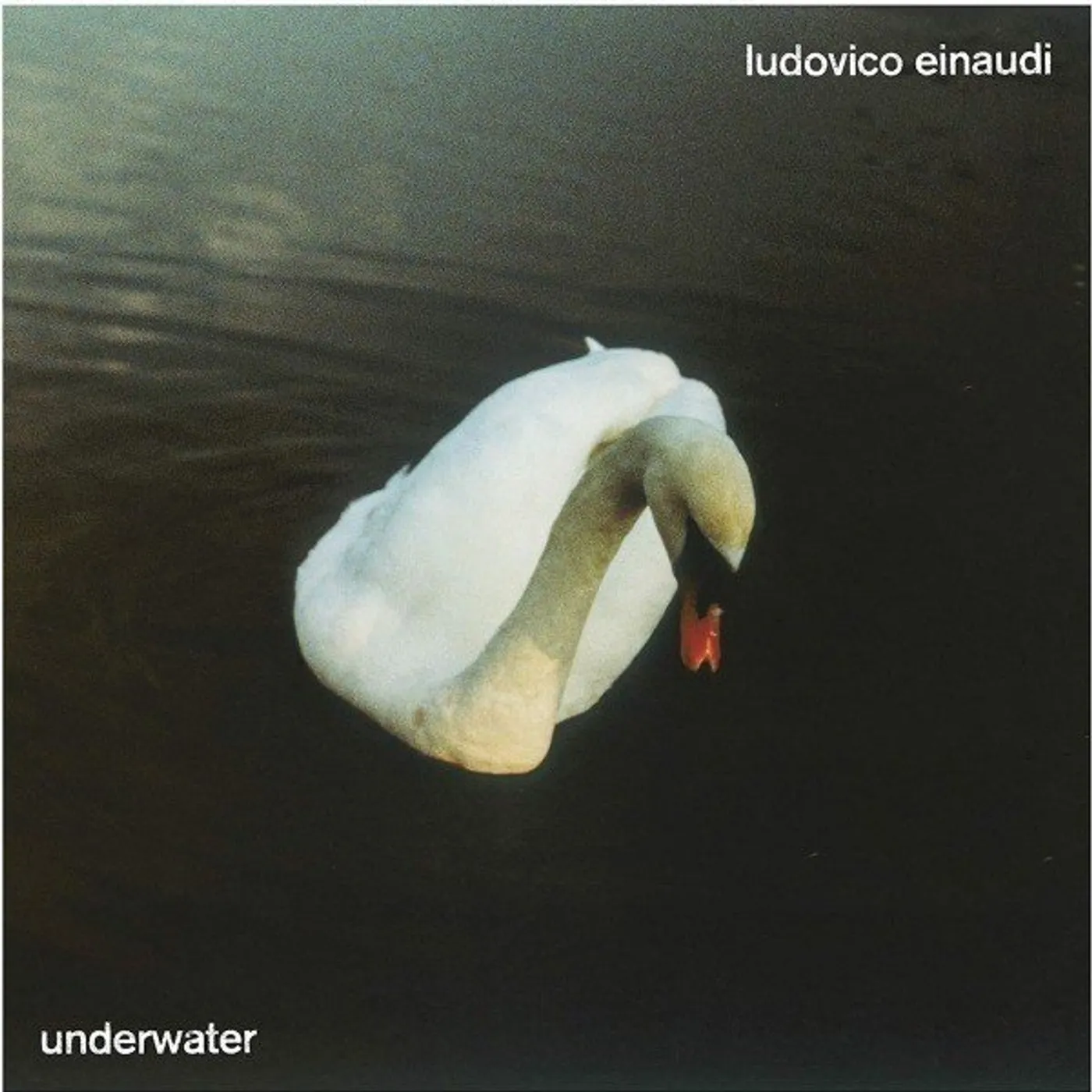 Ludovico Einaudi Underwater Vinyl Record