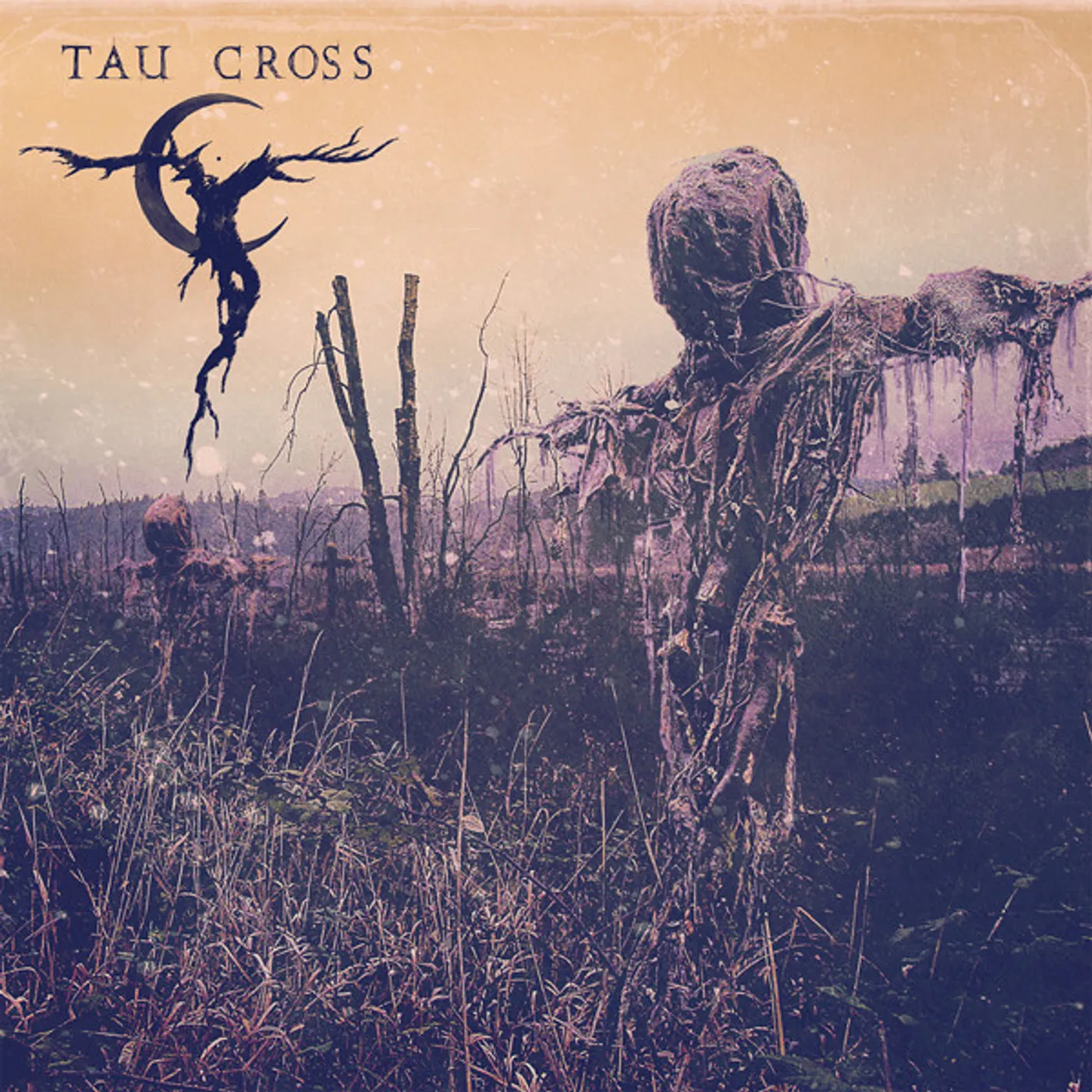 Tau Cross Vinyl Record