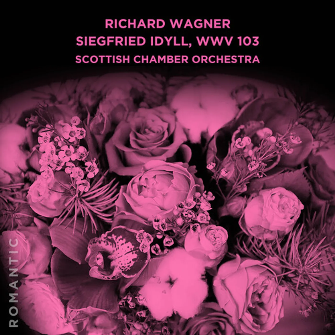 Scottish Chamber Orchestra SIEGFRIED IDYLL WWV 103 CD