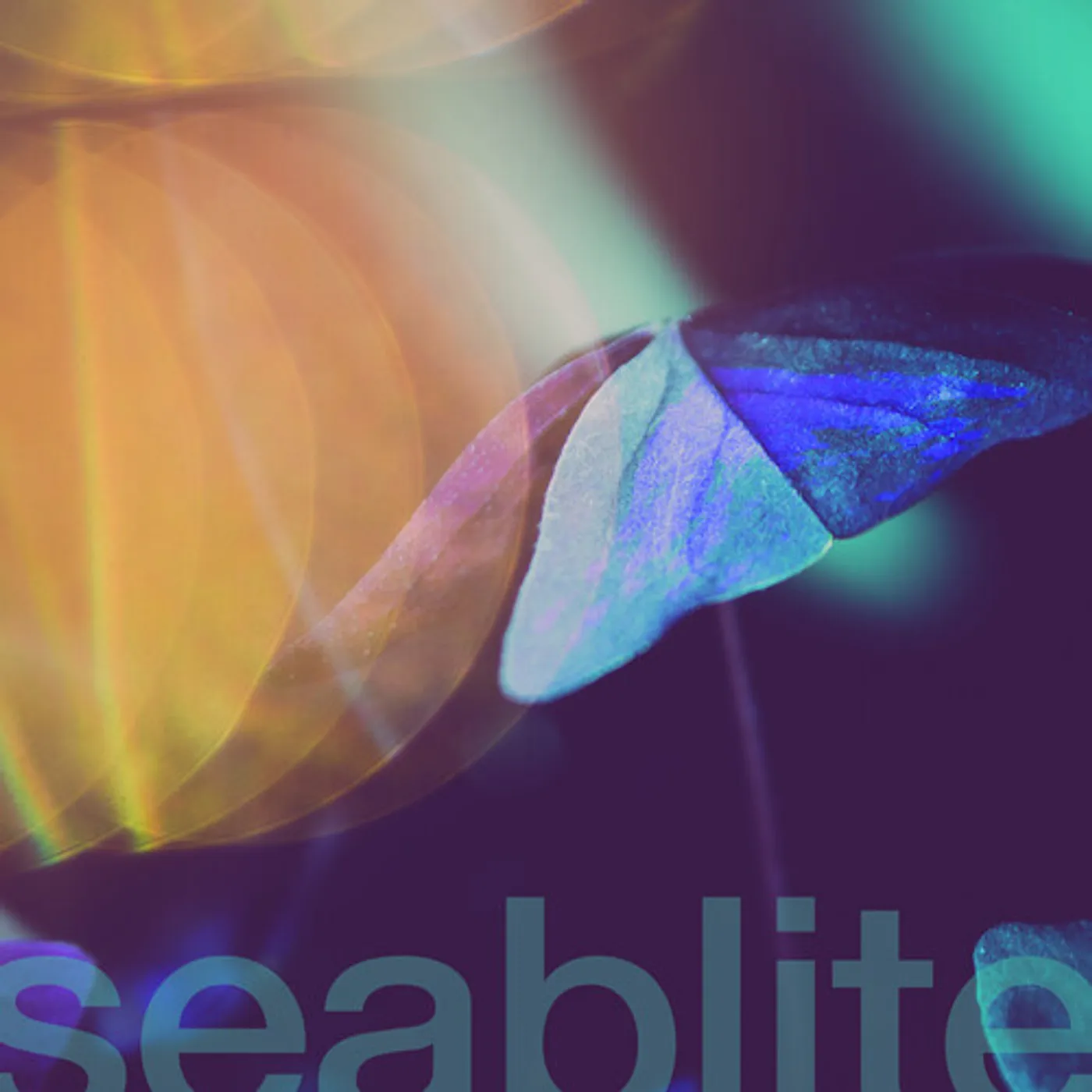 Seablite Breadcrumbs Vinyl Record