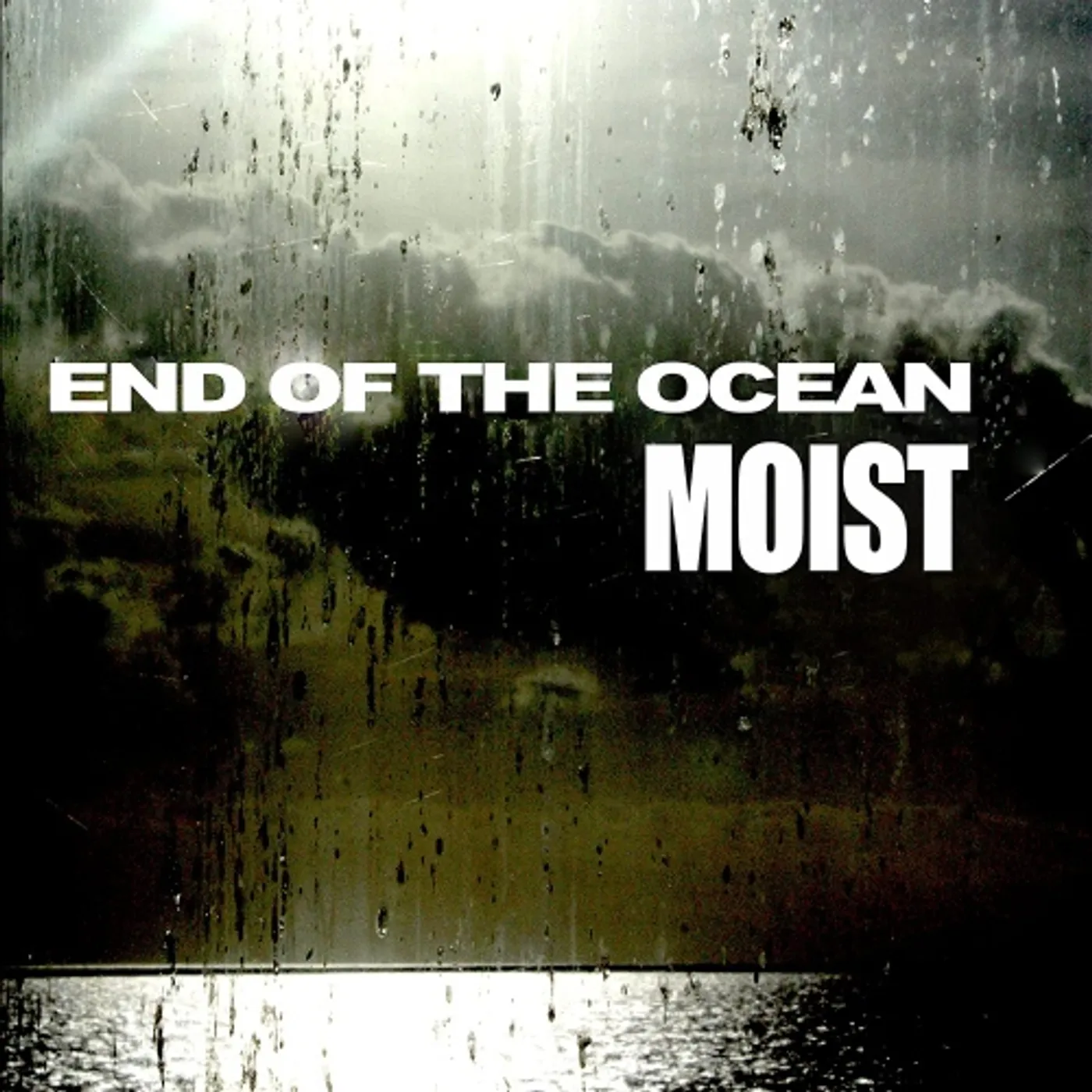 Moist End Of The Ocean Vinyl Record