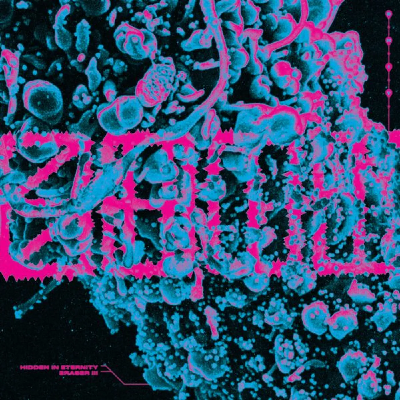 S.H.I.T. HIDDEN IN ETERNITY / ERASER III Vinyl Record