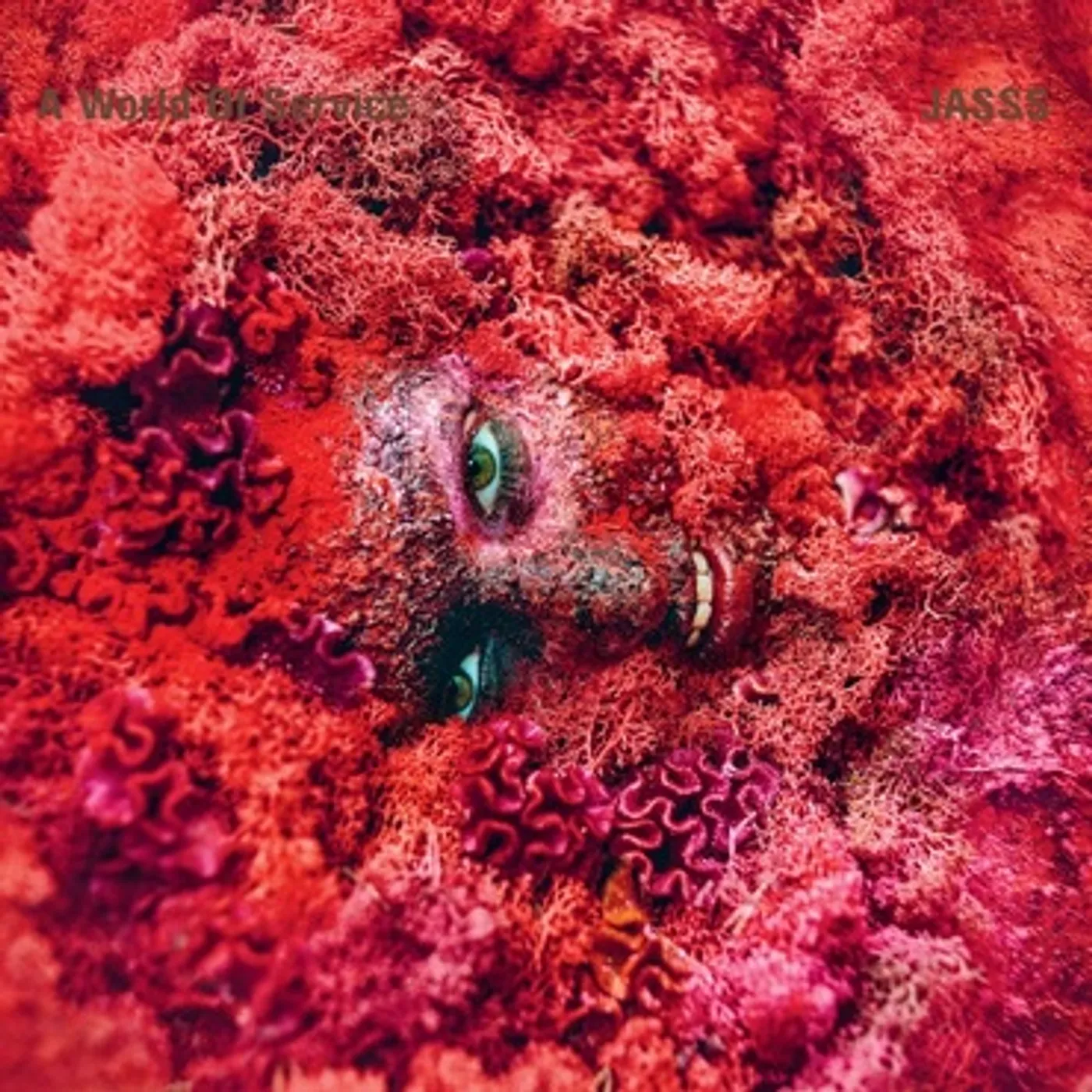 JASSS World Of Service Vinyl Record