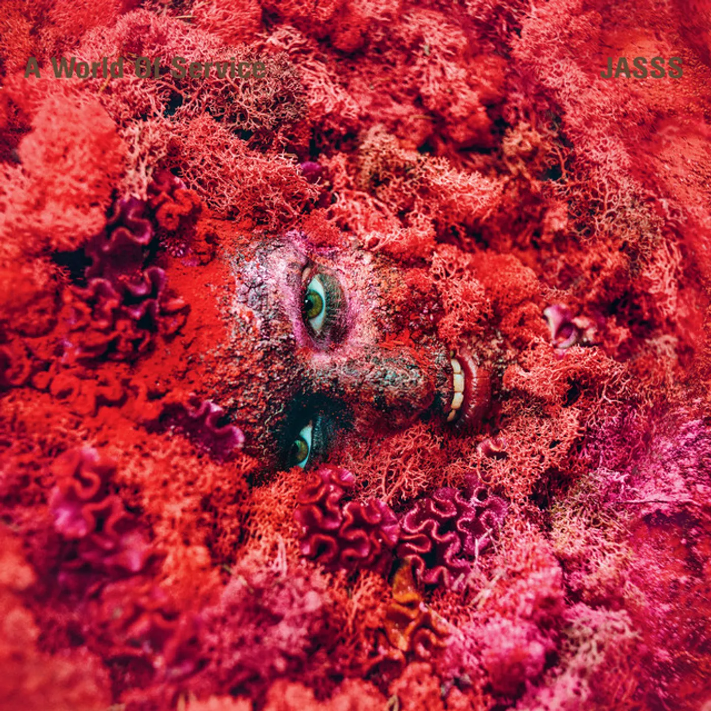 JASSS World Of Service CD