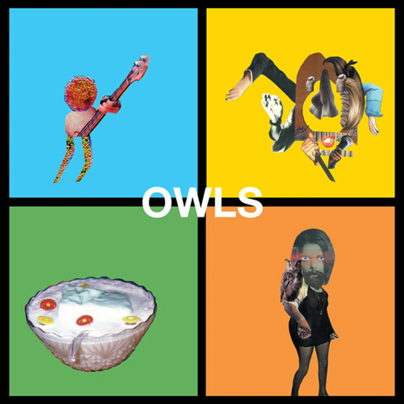 Owls Vinyl Record