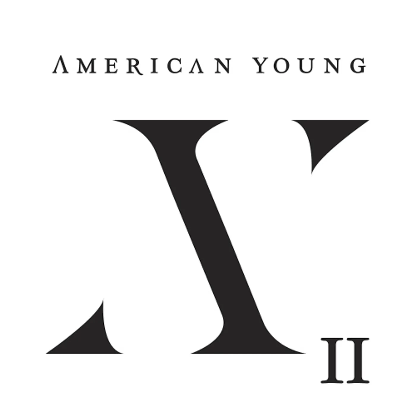 American Young AYII Vinyl Record