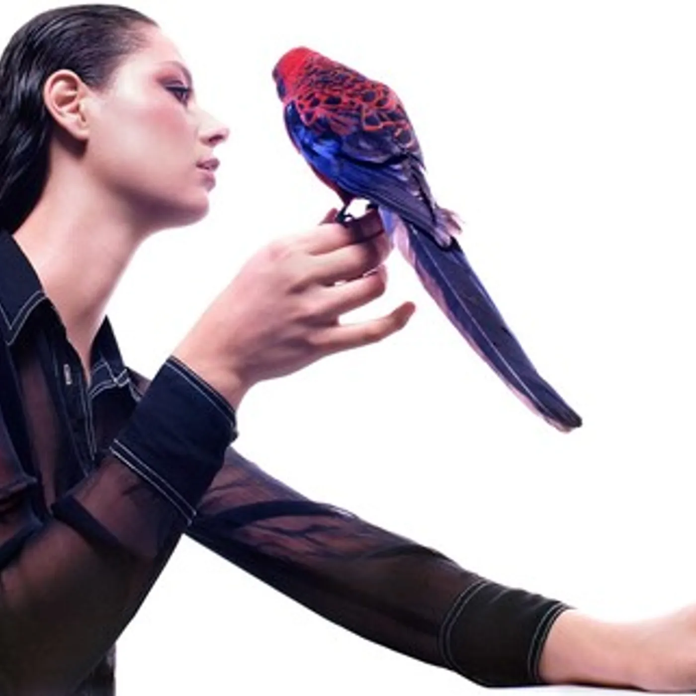 Grace Cummings STORM QUEEN CD