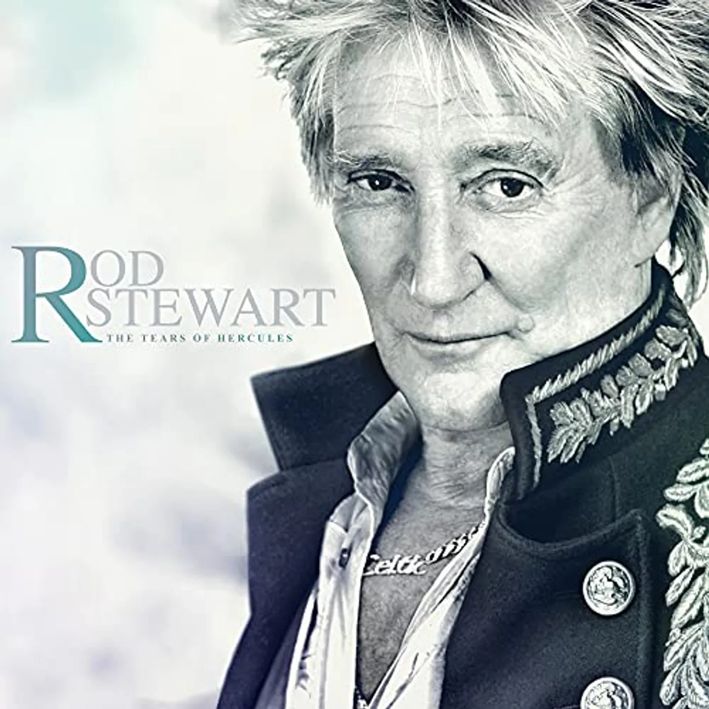 Rod Stewart TEARS OF HERCULES Vinyl Record