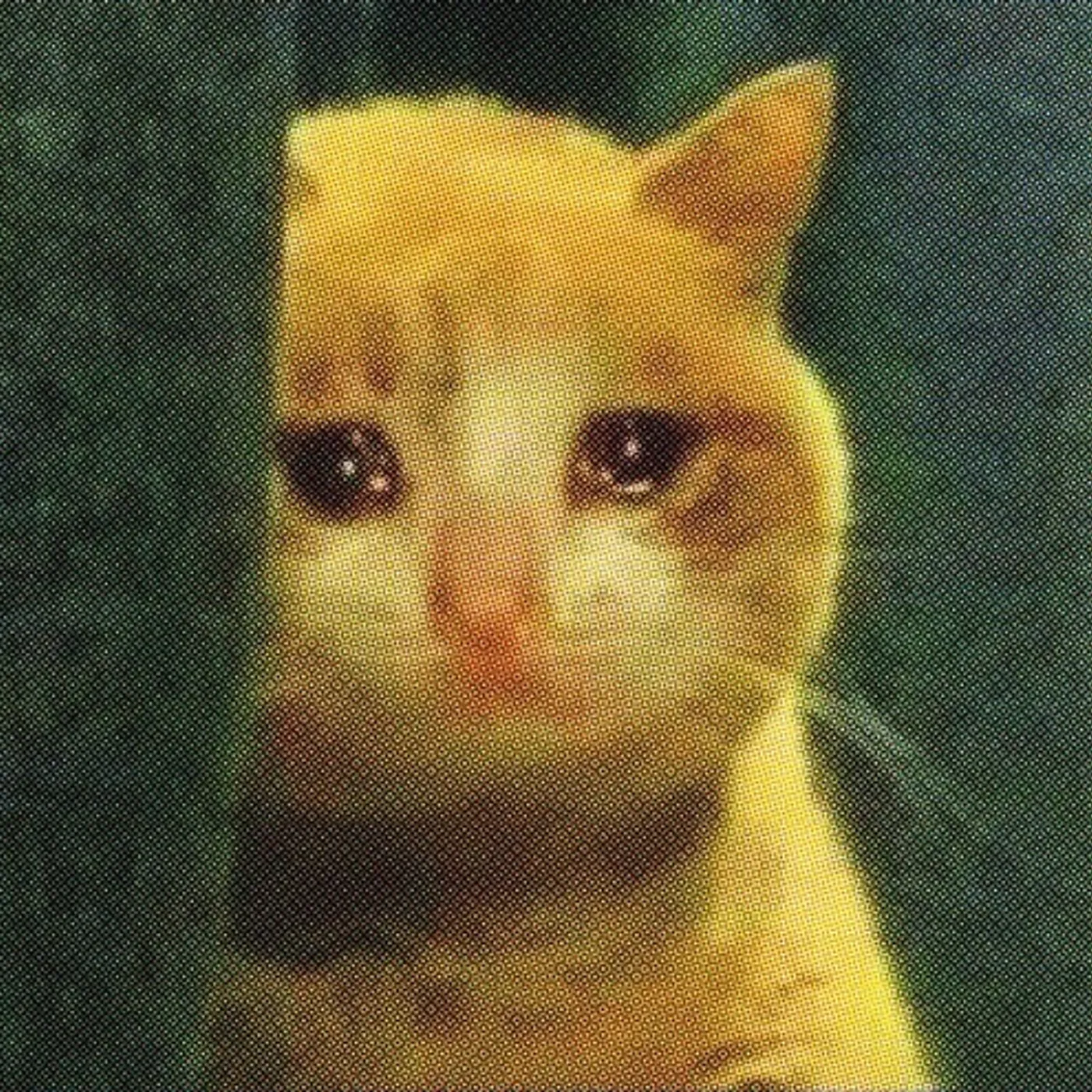 Sam Shalabi SHIRK Vinyl Record