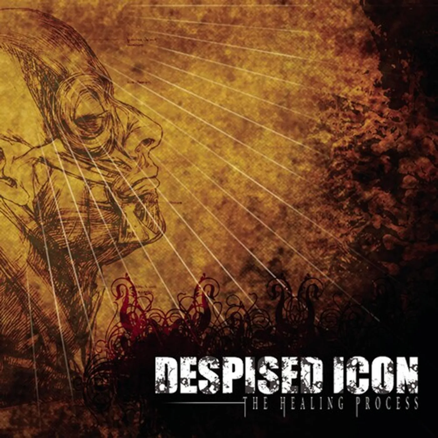 Despised Icon HEALING PROCESS Vinyl Record