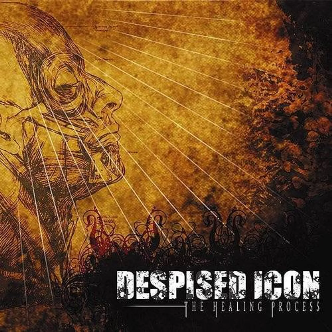 Despised Icon HEALING PROCESS (ALTERNATE MIX - RE-ISSUE + BONUS) CD