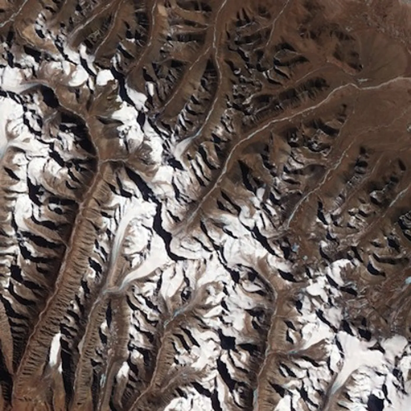 Yakuza Beyul Vinyl Record