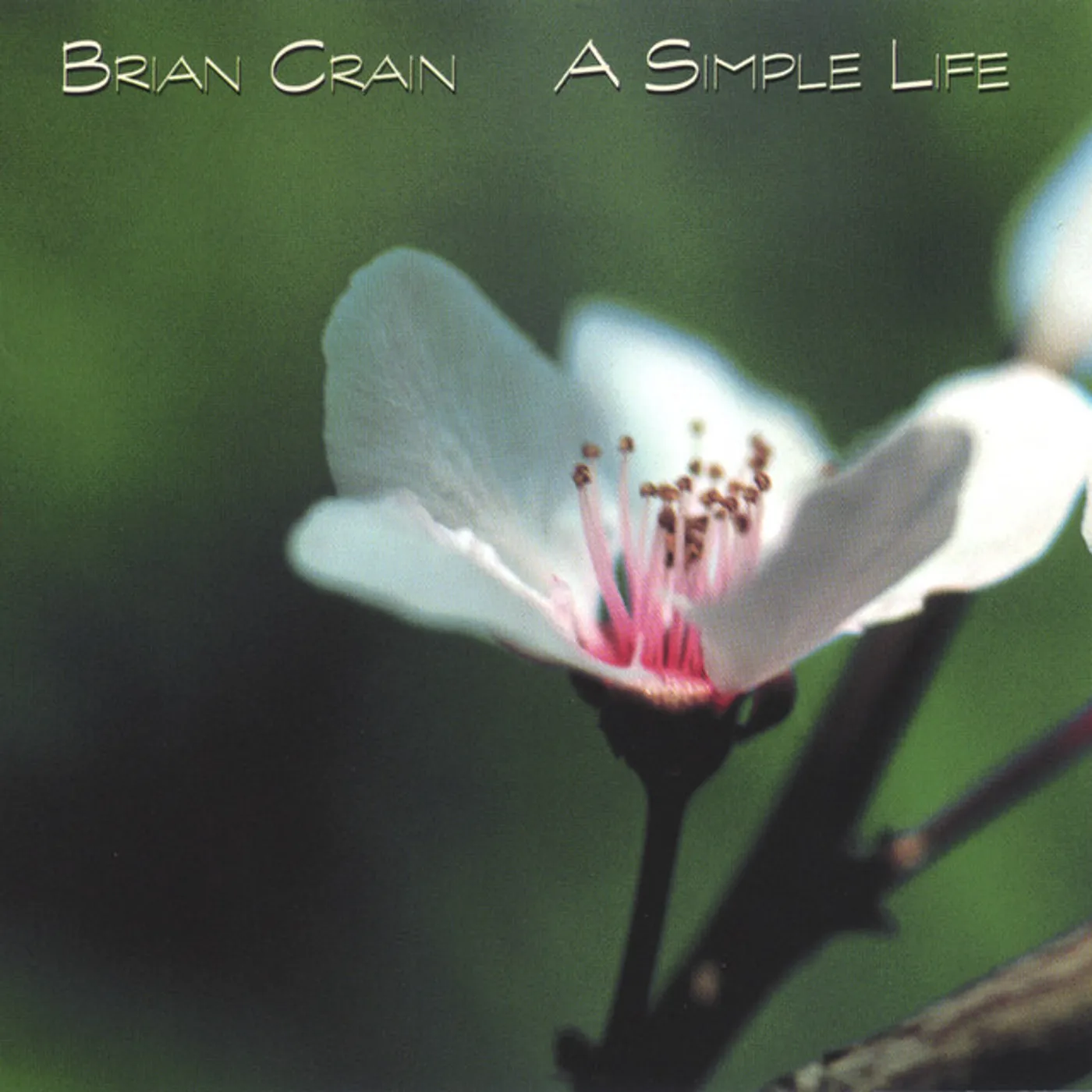 Brian Crain SIMPLE LIFE CD