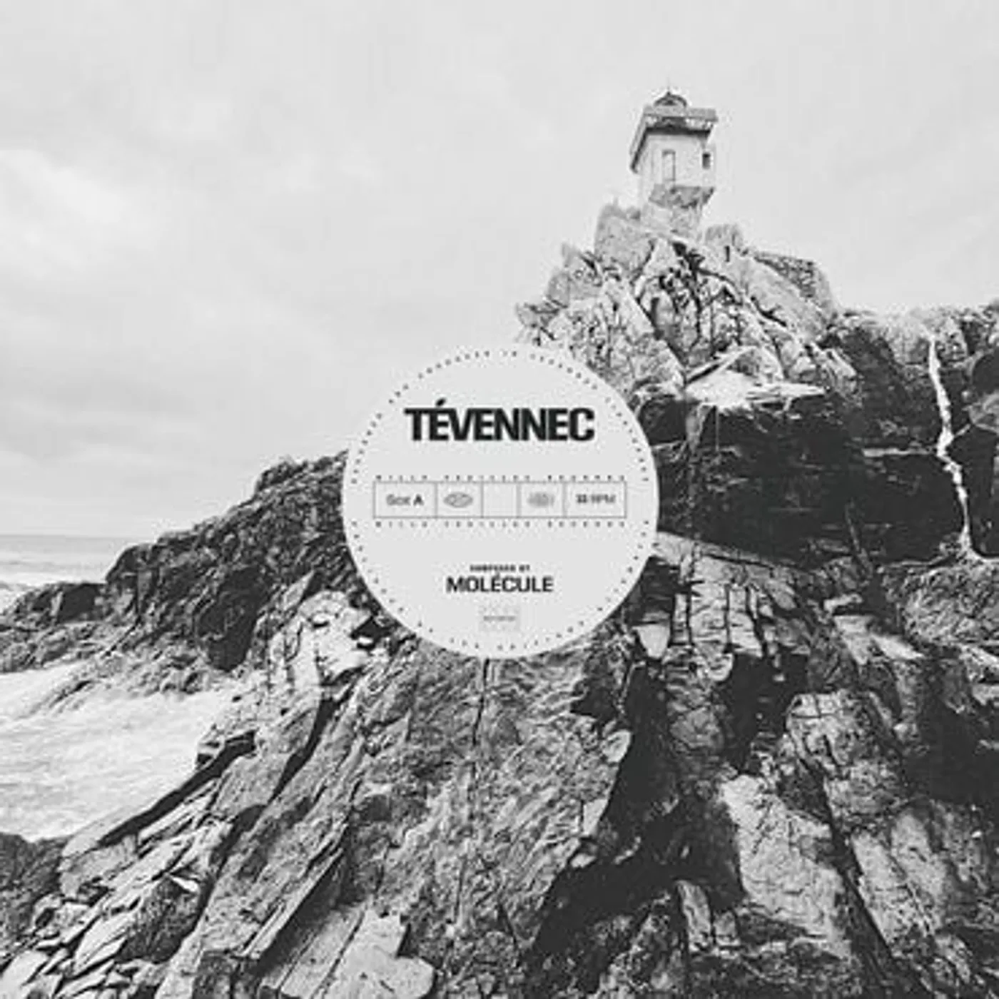 Molecule TEVENNEC Vinyl Record