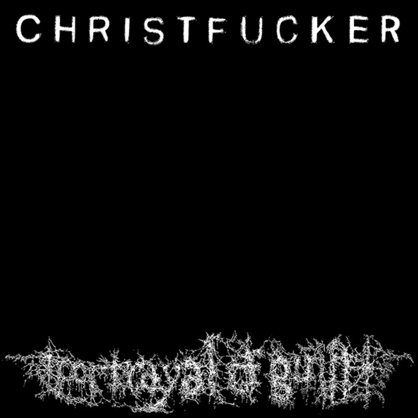Portrayal of Guilt CHRISTFUCKER Vinyl Record