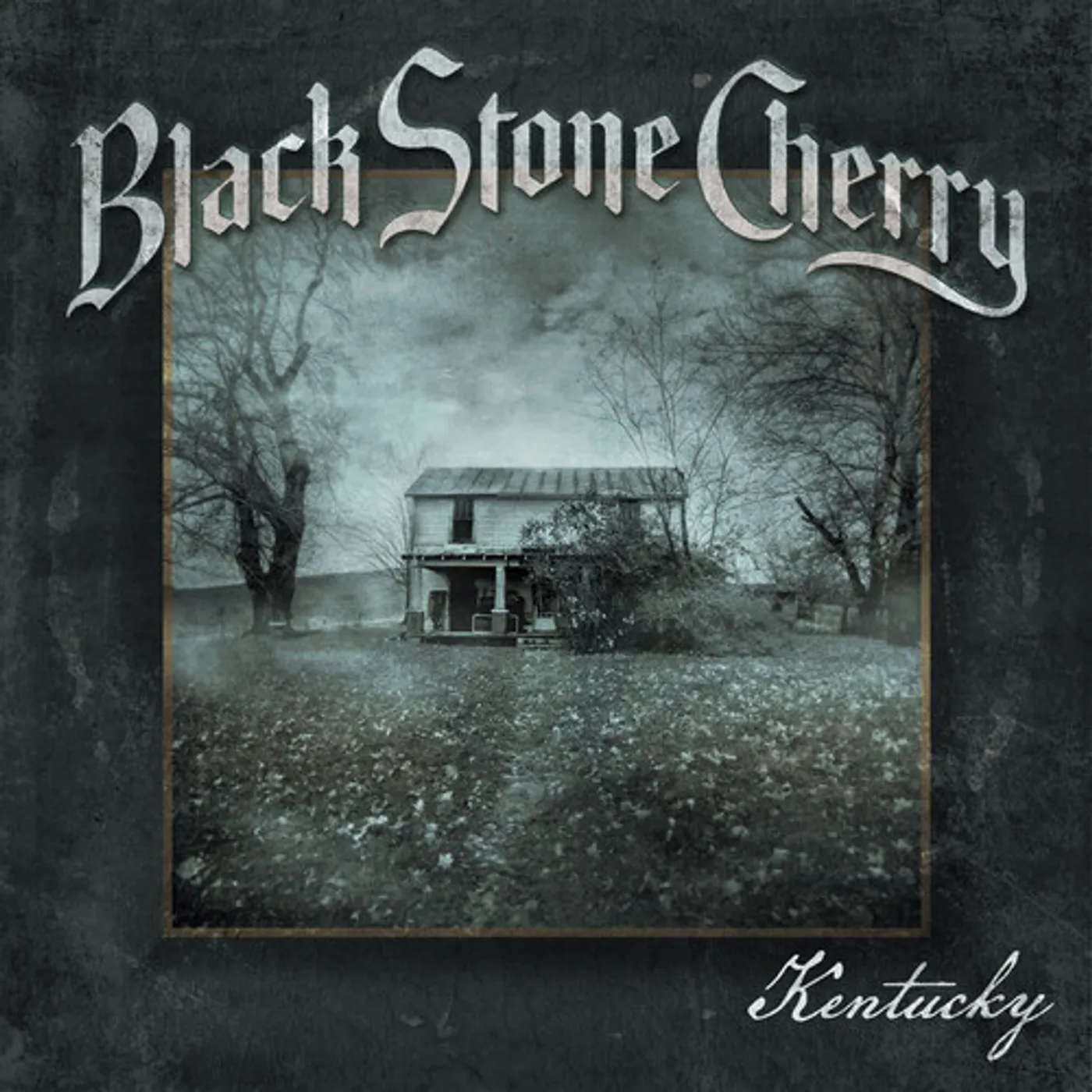 Black Stone Cherry KENTUCKY DVD