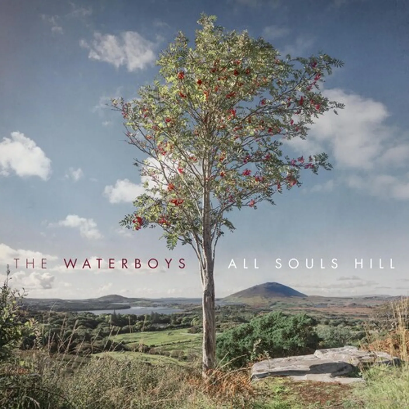 The Waterboys All Souls Hill Vinyl Record