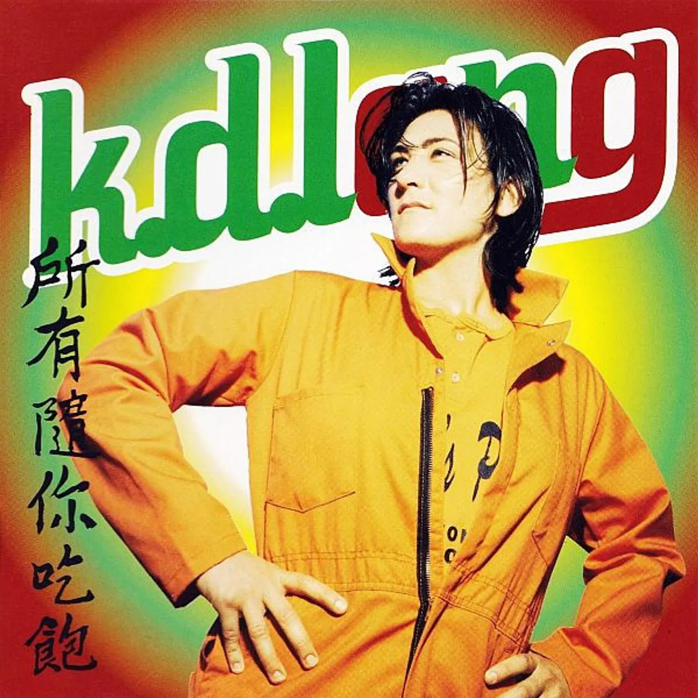 k.d. lang All You Can Eat Vinyl Record