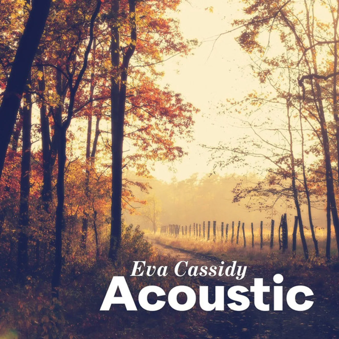Eva Cassidy Acoustic Vinyl Record