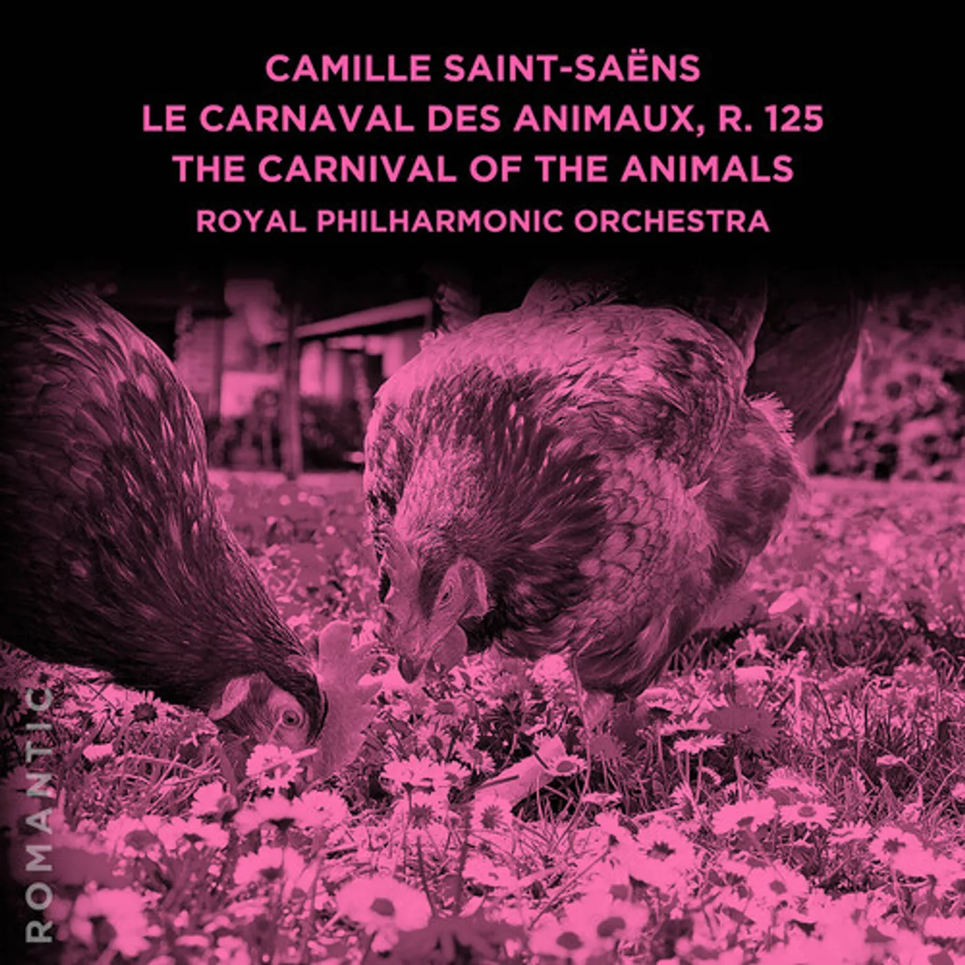 Royal Philharmonic Orchestra CAMILLE SAINT-SAENS: LE CARNAVAL DES ANIMAUX R. 12 CD