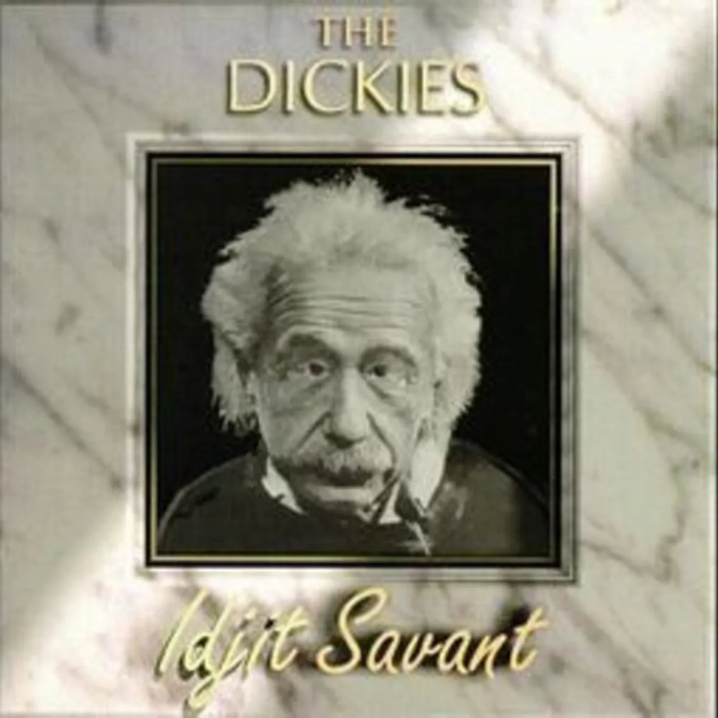 The Dickies Idjit Savant Vinyl Record