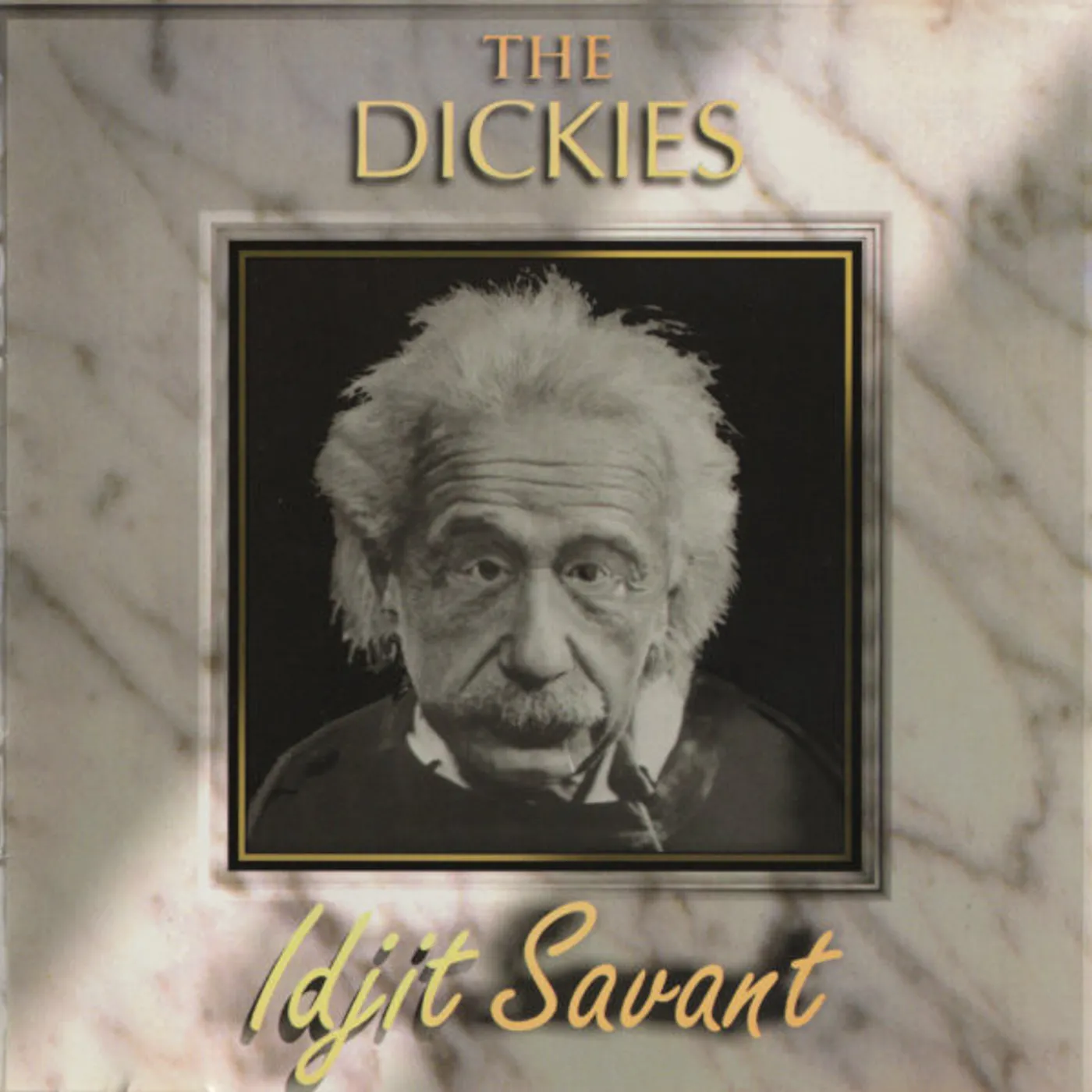 The Dickies Idjit Savant Vinyl Record