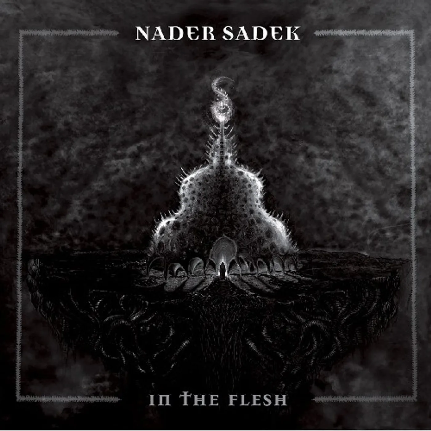 Nader Sadek In the Flesh Vinyl Record