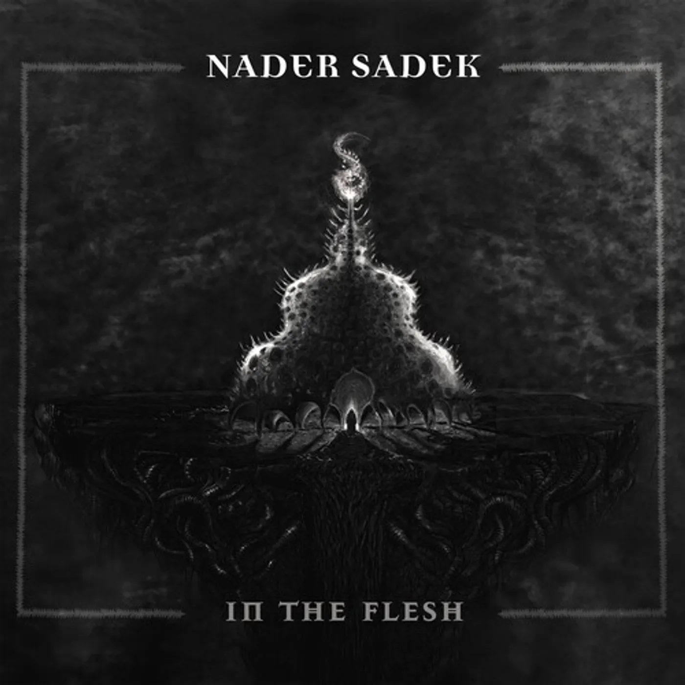 Nader Sadek In the Flesh Vinyl Record