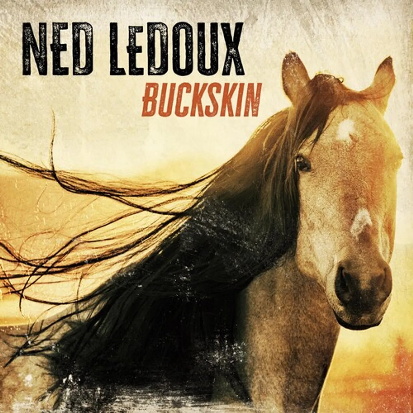 Ned LeDoux BUCKSKIN CD