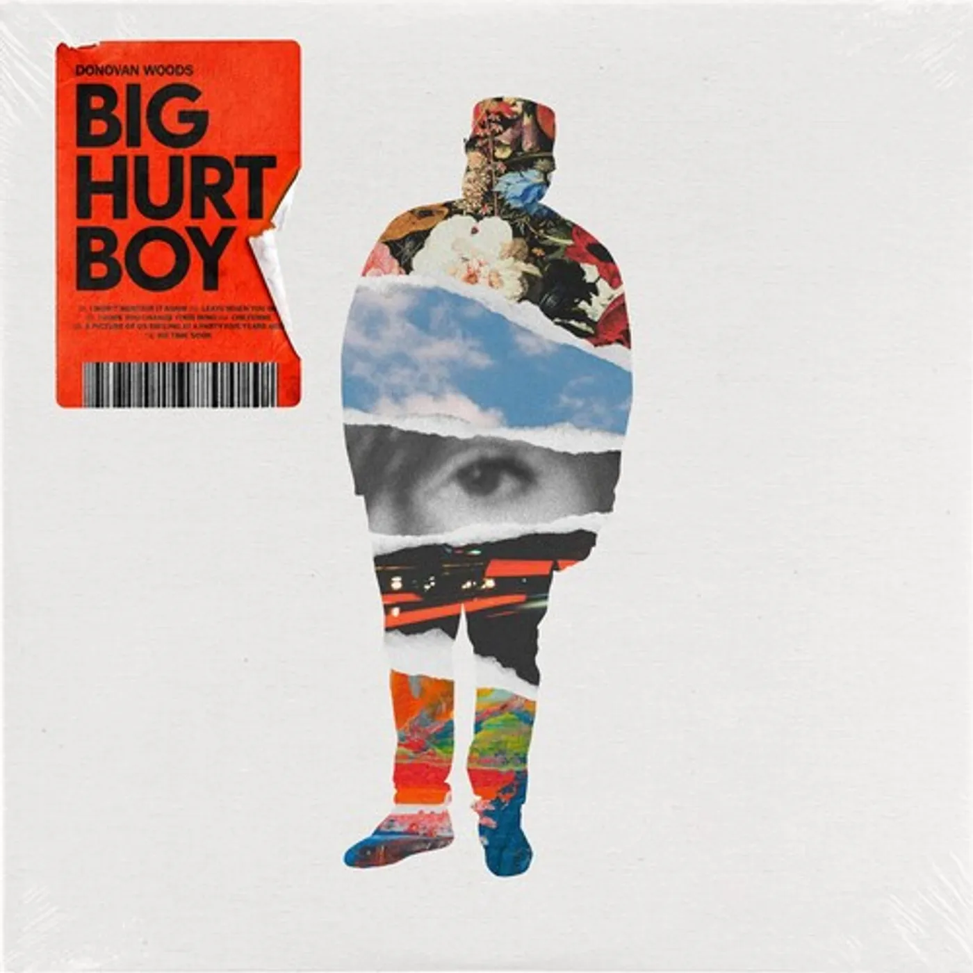 Donovan Woods BIG HURT BOY CD