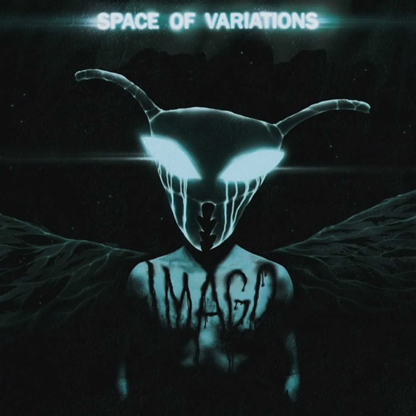 Space Of Variations IMAGO Vinyl Record
